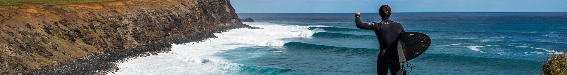 SURF